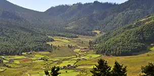 Phobjikha valley Bhutan